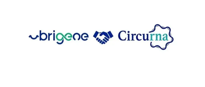 企业资讯丨宜明生物与Circurna达成战略合作，共同推动新一代RNA疗法