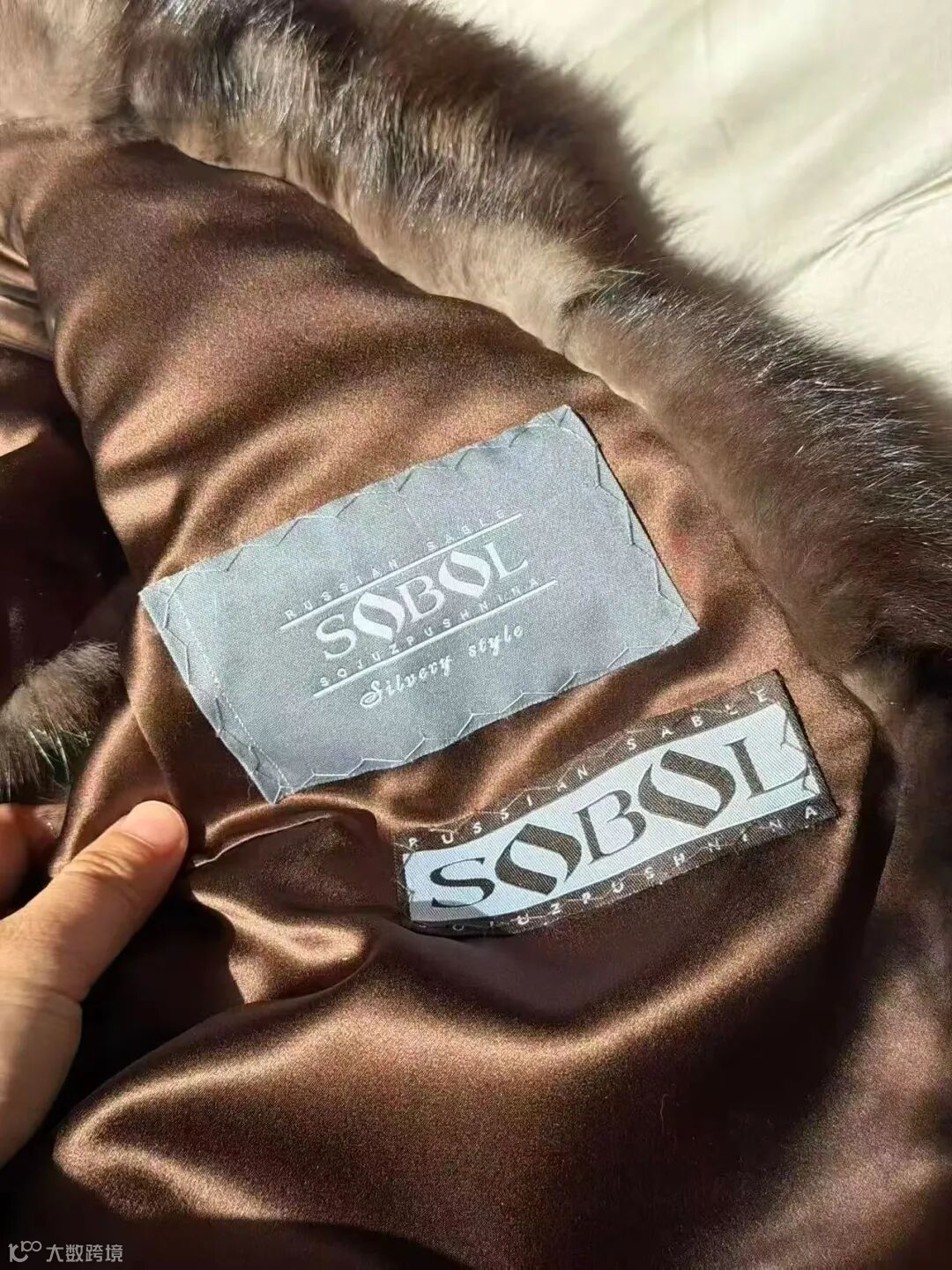 紫貂养殖场环境