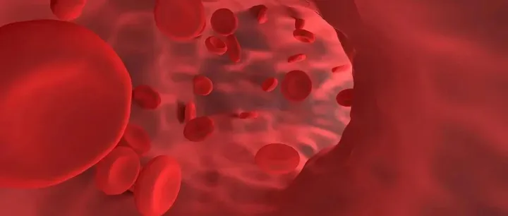 园区头条丨生命园多家企业成果亮相第67届美国血液学会年会