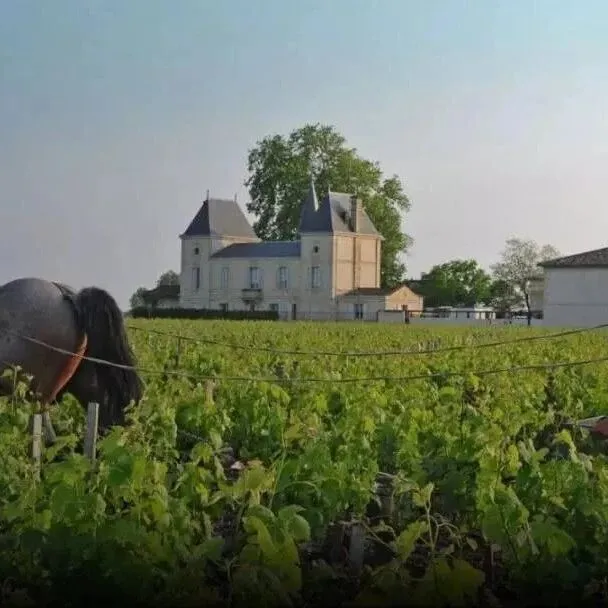 法国盛产列级庄的梅多克四大葡萄酒名村