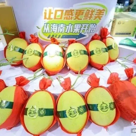 从热带岛屿到世界餐桌：“海南鲜品”的全球“鲜”行记