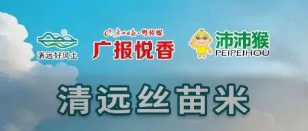 【广报甄选】清远丝苗米，米中碧玉香满仓~粒粒分明的香米送上门，还送鲜香五谷蛋！