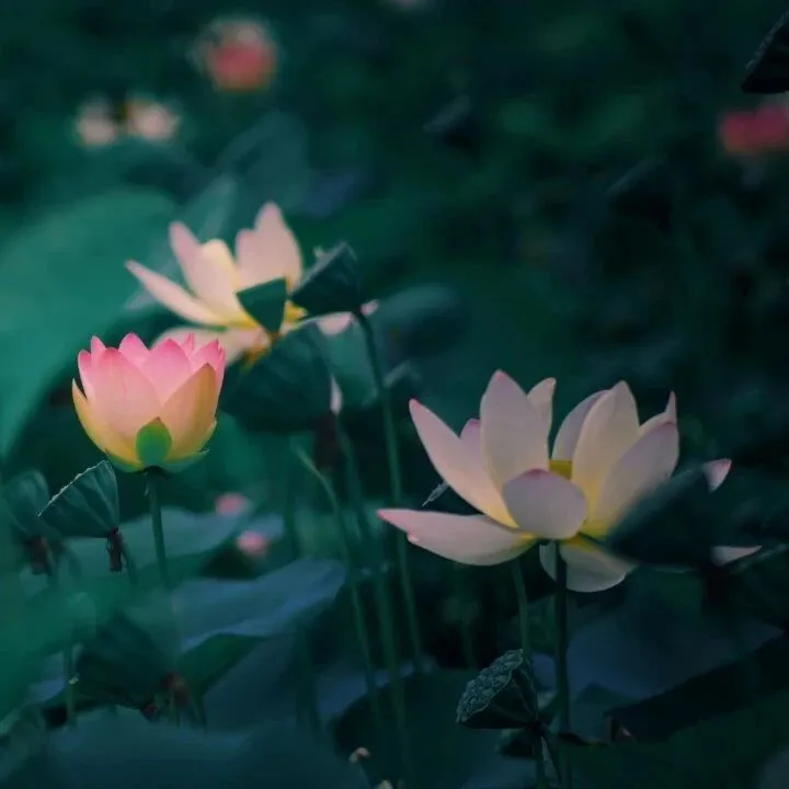 “改个巨有趣的家庭群名🤪”