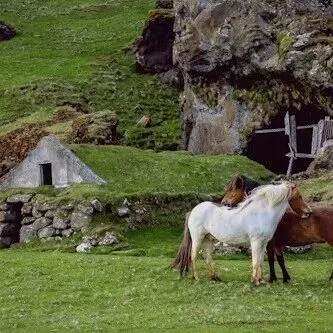每日译词 | “原始，简陋”，如何翻译？