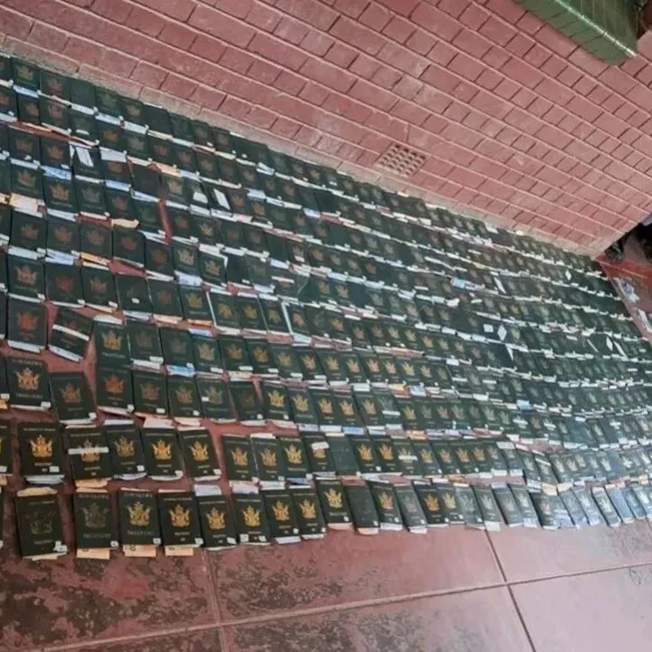 一名津巴布韋男子被發(fā)現(xiàn)持有580本護照 于姆普馬蘭加法庭受審