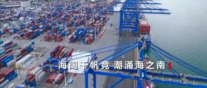 海南全岛今日正式封关运作！企业如何布局“一线放开，岛内自由”新市场？