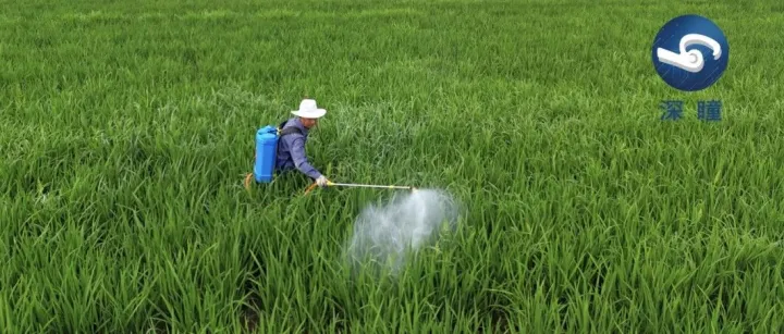 释放积极信号！这一产业，为何总是“叫好不叫座”？