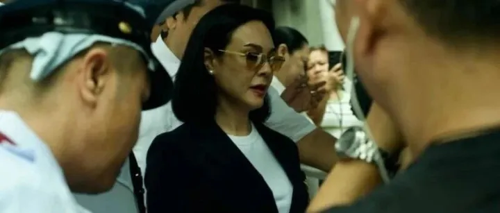 大多数“失踪的流氓”嫌疑人是警察;格雷琴被饶恕