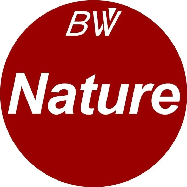 Nature子刊：陈昶/俞麟合作揭示动态材料调控气管再生新机制