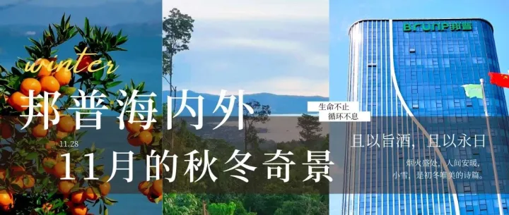 【员工风采】海内外的邦普人传来11月的秋冬奇景