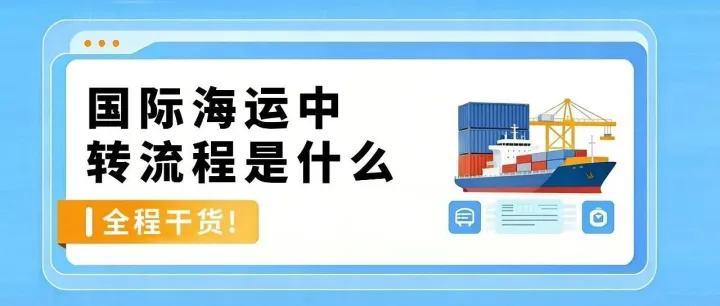国际海运中转流程是什么（中转港怎么选更省时间）