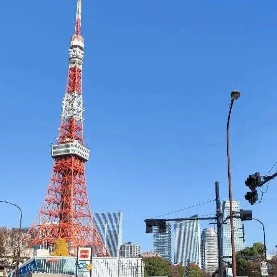 考察④ 天呐！东京这样的房子，月租金竟然高达100万人民币！