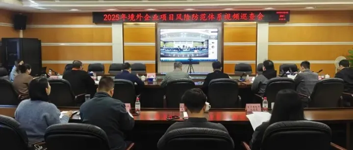 市商务局举办2025年境外投资企业（项目）安保体系视频巡查会