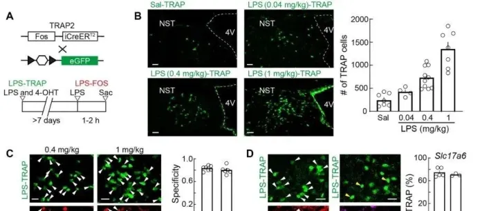 丹扬院士团队合作最新Science子刊