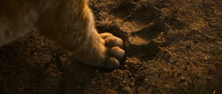 语言桥译配 | “狮子王”的专访