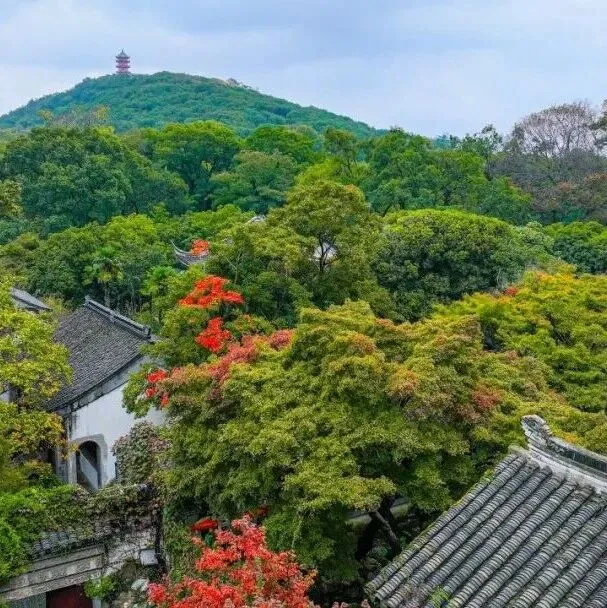 寄畅好个“chill”！名人组队来踏秋啦~