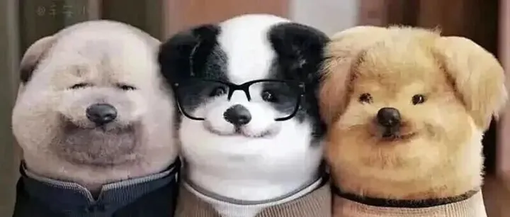 <em>那个</em>虚构出来<em>的</em>“偷瓜”<em>事件</em>告诉我们：真实比浪漫重要