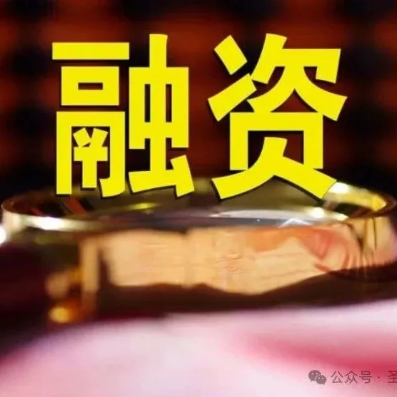 高性能数模混合信号链芯片及高速接口芯片：锐泰微B3轮融资近亿元，突破壁垒