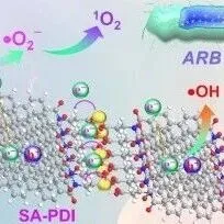 AFM | 清华大学朱永法/朱晓林研究开发的D-A型超分子光催化剂SA-PDI@C60可用于自然光驱动的抗菌应用