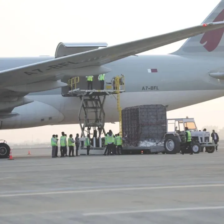 大象Khagendra Prasad和Rudrakali被空运至卡塔尔