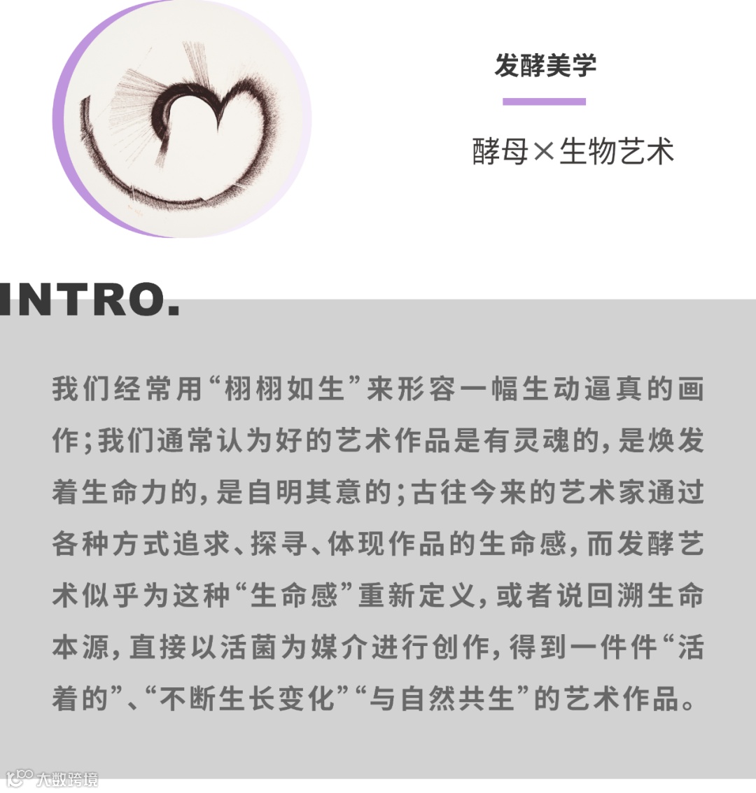 微生物学笔记| PDF, image size:1080x1133