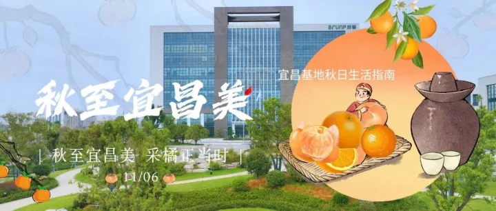 【人在邦普】北方工程师的秋日之乐：秋至宜昌美，采橘正当时