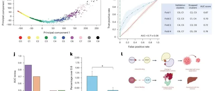 Nature 子刊 | 重磅！把蛋白互作翻译成语言：不靠结构也能预测免疫肽结合与突变破坏互作！