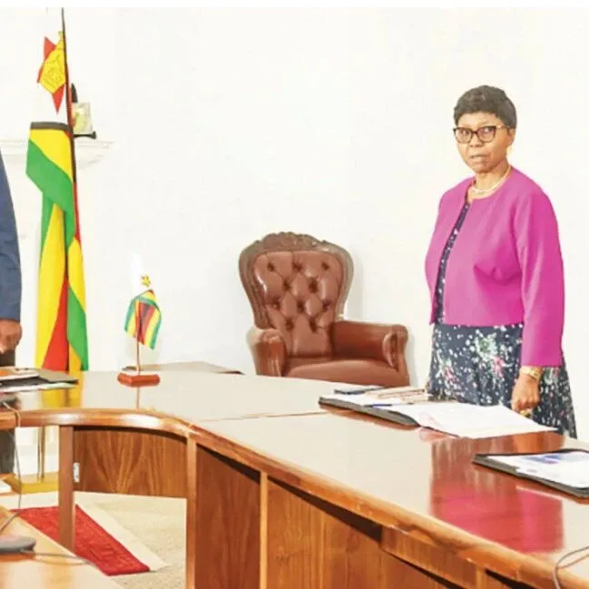 【津巴观察】马达内乱赞比亚受益！南共体紧急决策出台