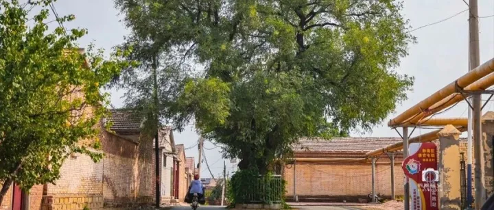 中考作文训练，请以“别了，__”为题目，写一篇作文。