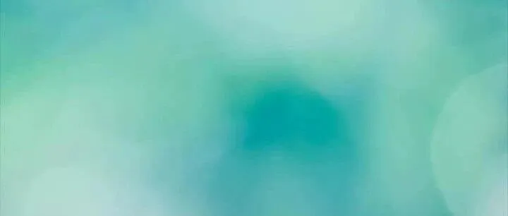 人工智能芯片项目推荐