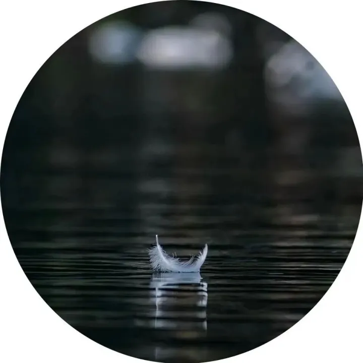 讲人生故事，是成年人的自救