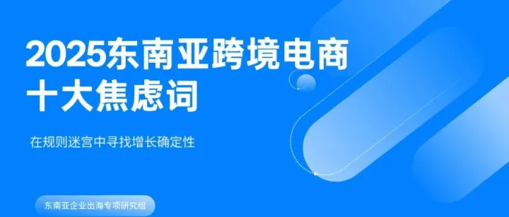 行业洞察报告｜2025东南亚跨境电商十大焦虑词