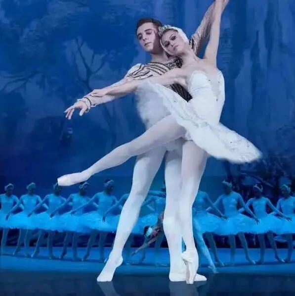 Five Swan Lakes Flying In for the Winter Spotlight