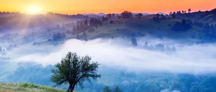 2026年度銀行間外匯市場(chǎng)交易幣種節(jié)假日表