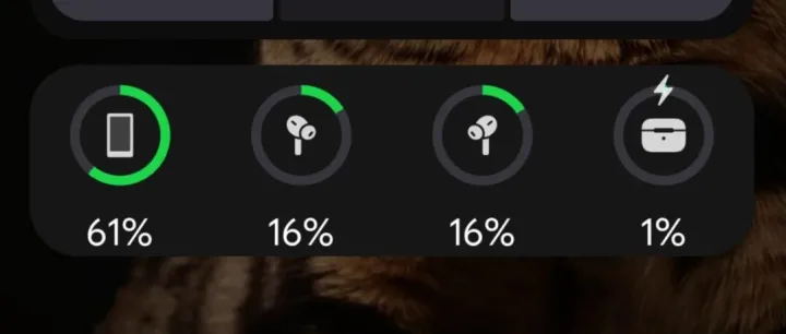 ROOT 也值了 ! 硬刚苹果