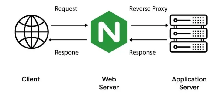 Nginx | HTTP 反向代理：对上游服务端返回响应处理实践