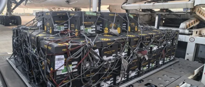 非洲贝宁菠萝首次入湘 湘非农产品贸易再添新成果