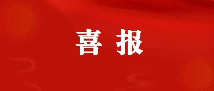 高新力量！这家企业全国独角兽奖项！