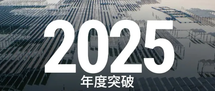 Science發(fā)布2025十大技術(shù)突破，中國龍人、綠色能源、耐熱水稻齊上榜