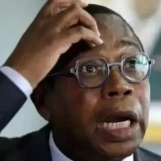 【津巴观察】财长扛不住了！突然取消仅实施3周的新税！