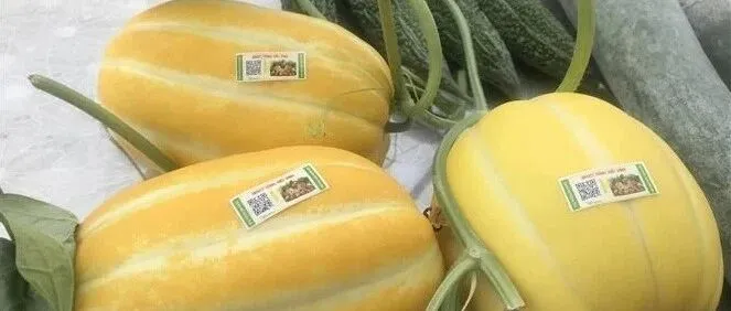 越南亟待建立国家统一的商品溯源体系