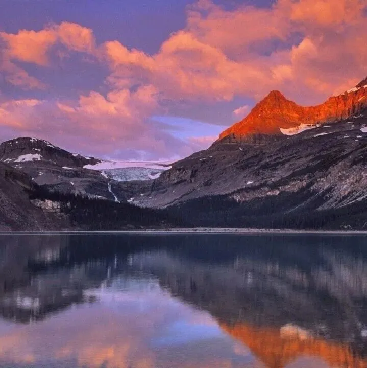 2026年全球外匯市場(chǎng)：政策分化下的匯率新邏輯與跨境實(shí)務(wù)探討