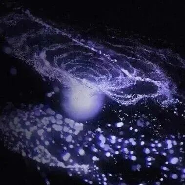 灵感之夜圆满落幕，AI热潮下的智慧相聚