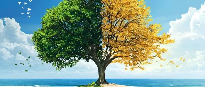 <em>季节</em><em>更替</em>之下，我们更应该注重摄钙量