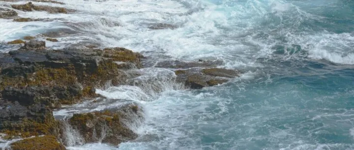 TikTok美国事件尘埃落定，周受资发布内部信