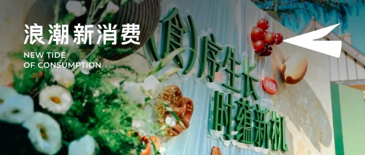 乘“食”势而起：为什么食品滋补品牌都在重仓小红书？