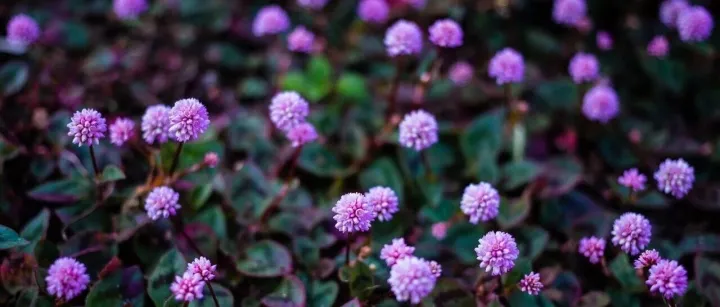 埃森哲：中国消费市场的新主张和新机遇