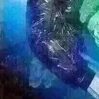 无需手动调节，100%色彩还原！服装数码印花裁片排料速度提升50倍！