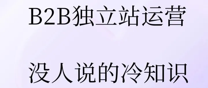 B2B独立站运营，没人说的冷知识，影响成败！