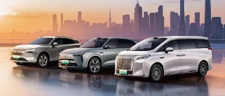 魏牌新能源 12月限时购车权益